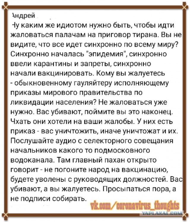 Гинцбург поддержал идею введения «ковидных паспортов»