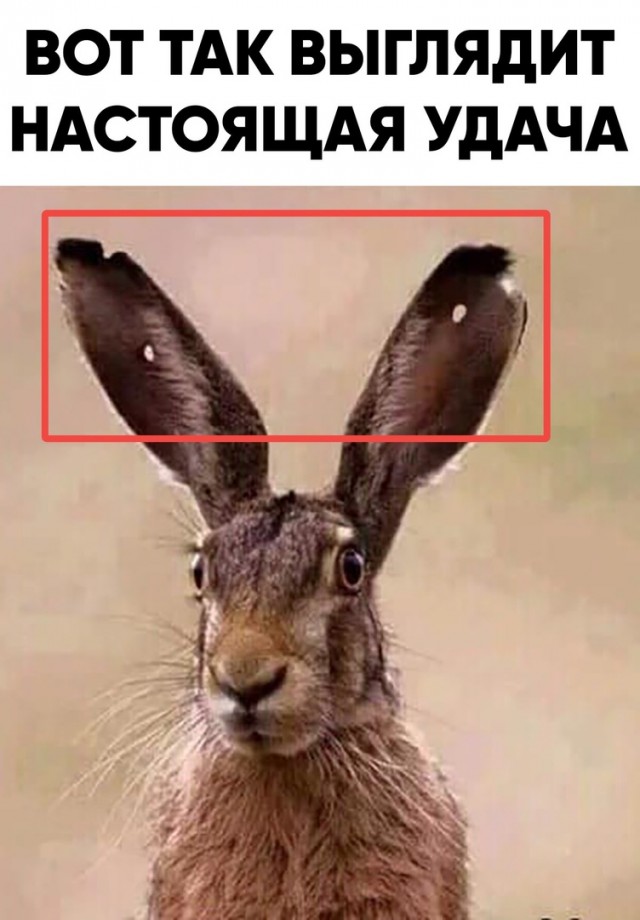 Так себе картинки 05.04.21