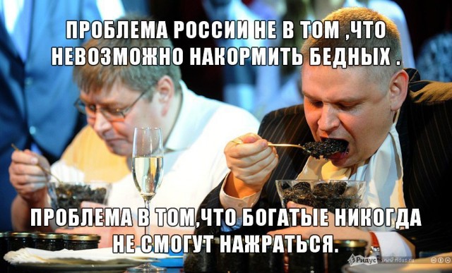 Не ждите от них ничего хорошего!