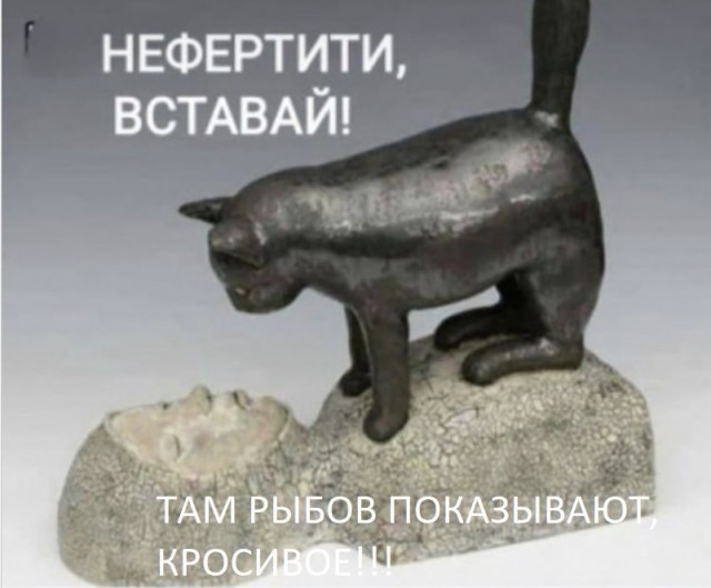 Котовторник 14.09.2021
