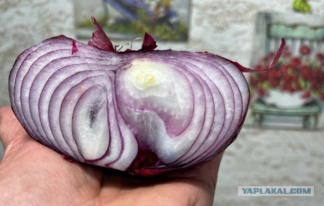 Кулинарная общалка