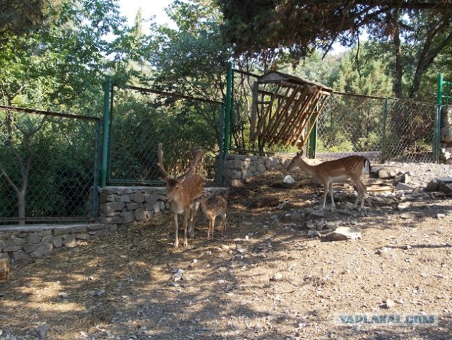 Велопутешествие по Крыму