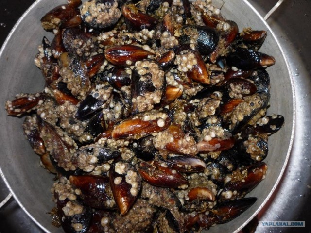 Абхазия там где....