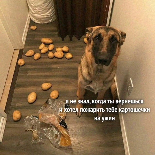 Картинки и мемы для настроения - 133