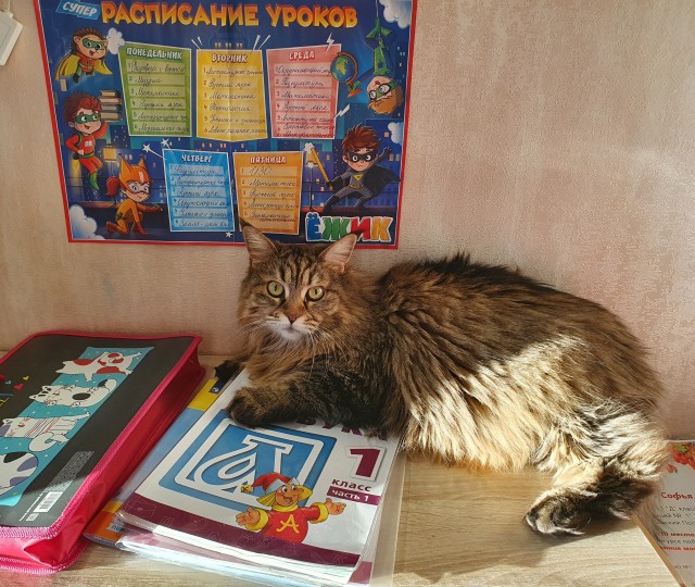 Доброе утро, ЯП