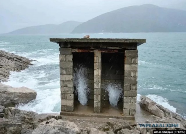 Подкаблучники