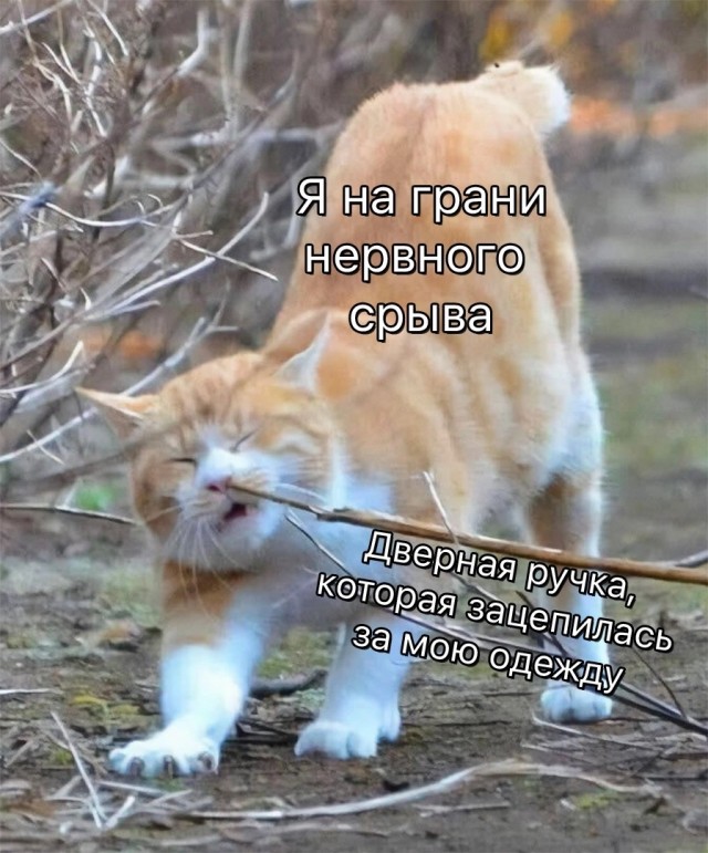 Так себе картинки 24.04.23