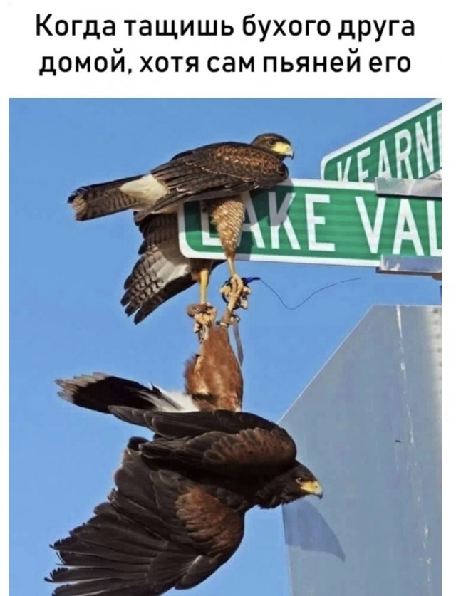 Спустя два дня