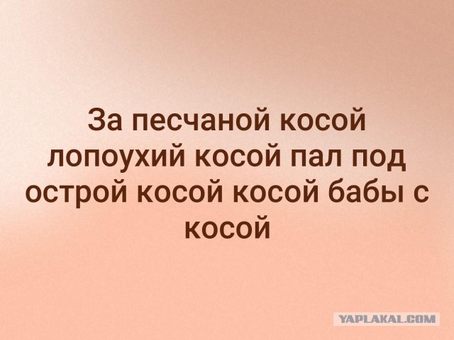 Гуманитарий в бешенстве