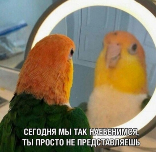 За дядю Митю!