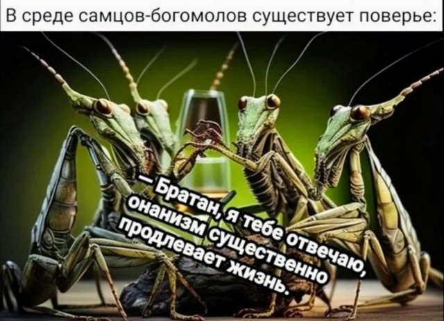 Забавные комментарии из социальных сетей (17.07.23)