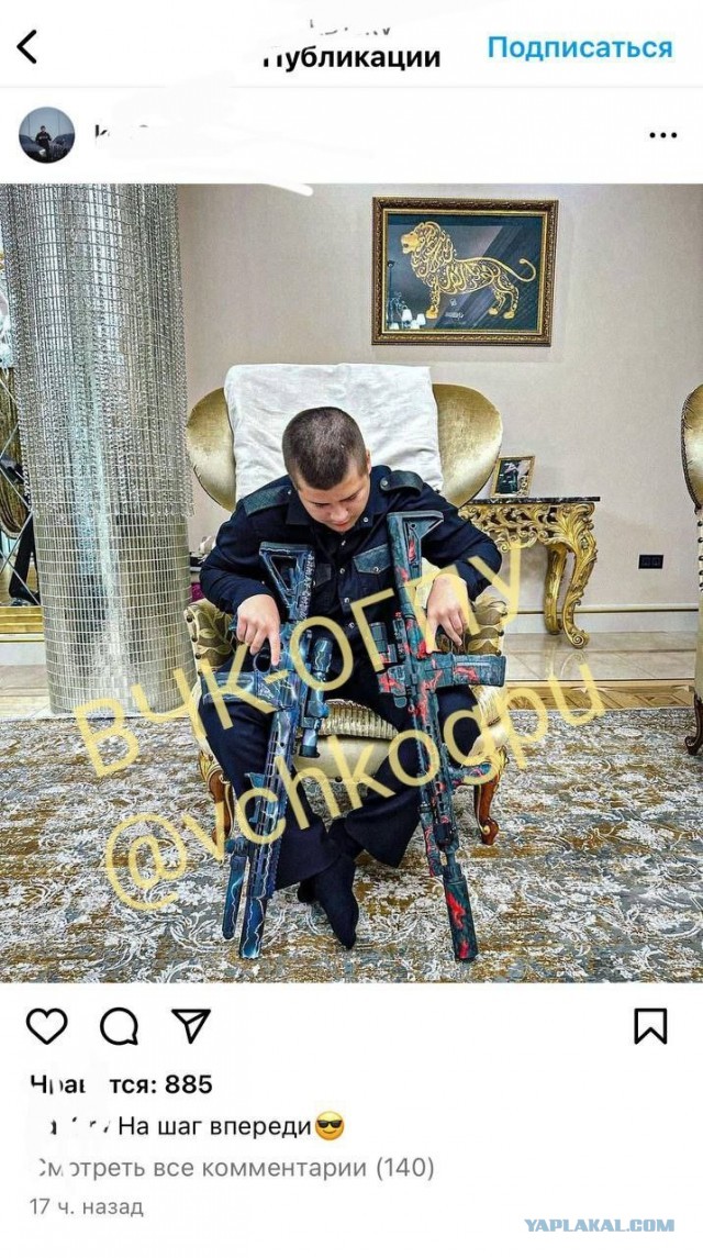 Полиция закончила проверку по избиению Никиты Журавеля сыном Рамзана Кадырова. МВД вынесло отказ в возбуждении уголовного дела
