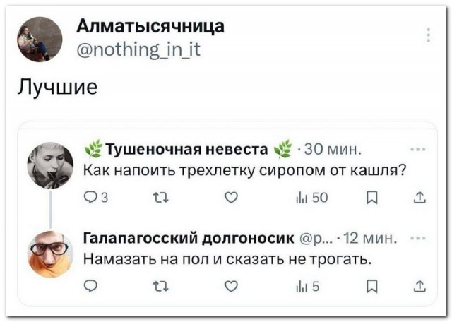 Забавные комментарии из социальных сетей (28.05.24)