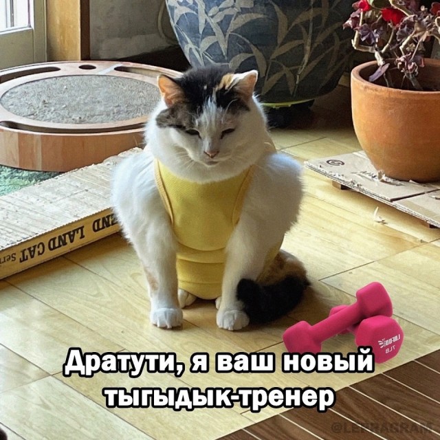 Так себе картинки 12.06.24