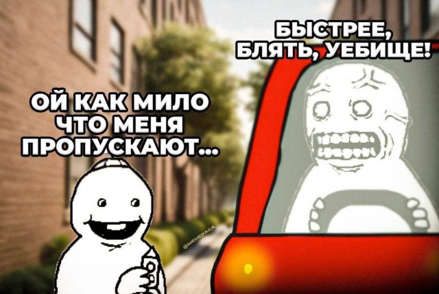 Весёлый полтишок 10.12.24