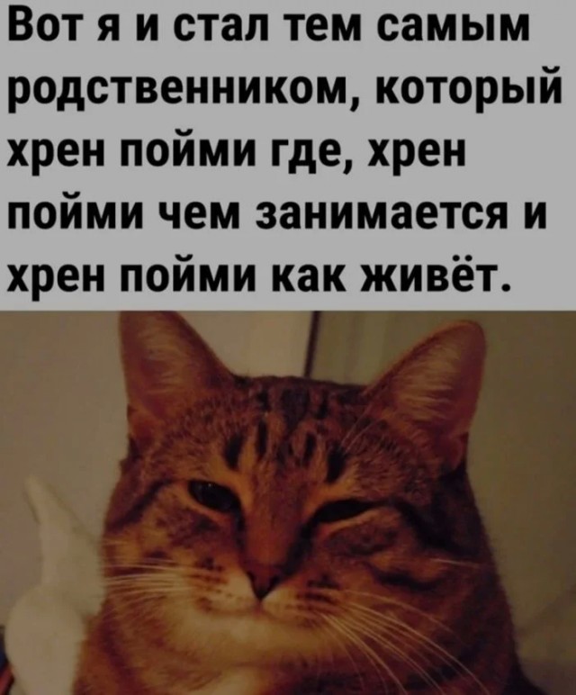 Юмор для тех, кто уже повзрослел и понял, что счастье — это когда никто не звонит