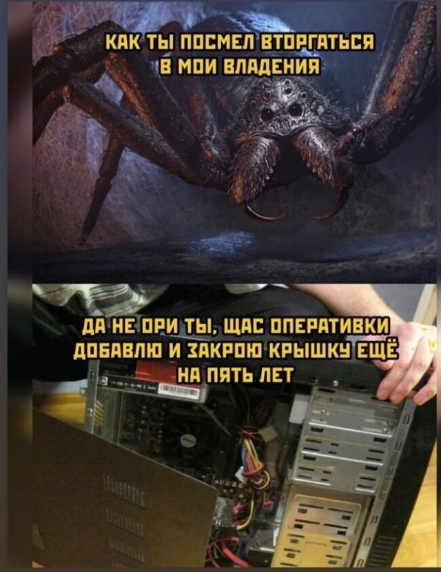 Веселые картинки в пятницу (23.05)