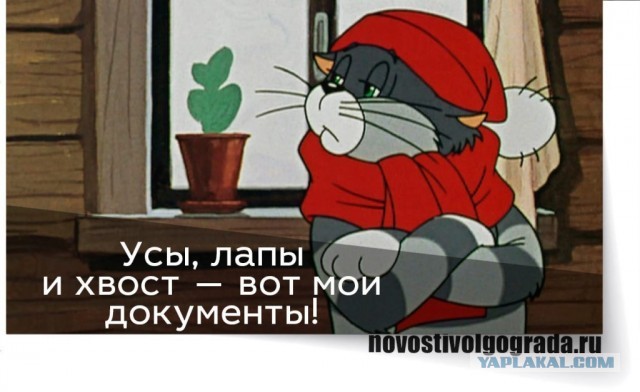 Попал под каток
