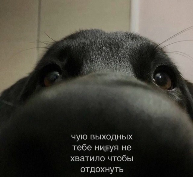 Ночная подборка ненормальных картинок !