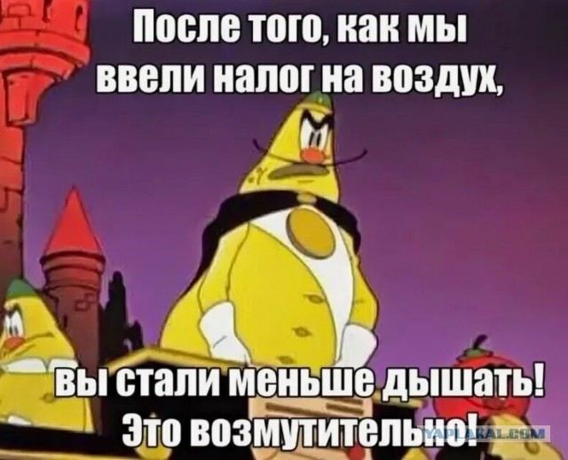 Владивосток, Морской порт и полное отсутствие привезённых из Японии или Кореи автомобилей.