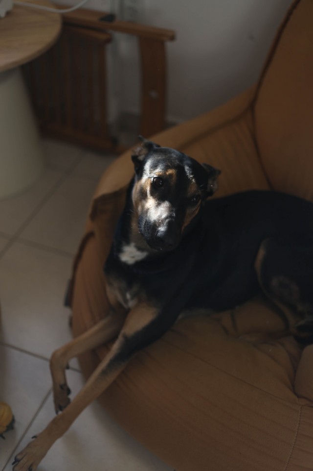 Про настоящее - про дружбу