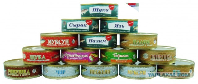 Как из рыбы консервы получились