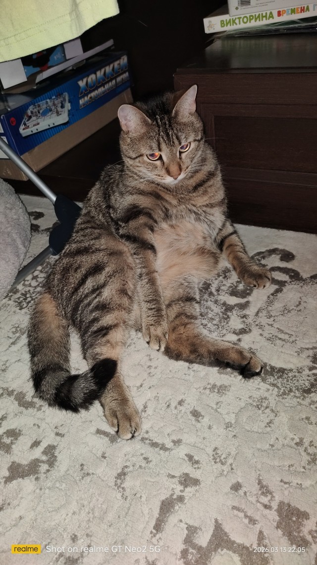 Степан .