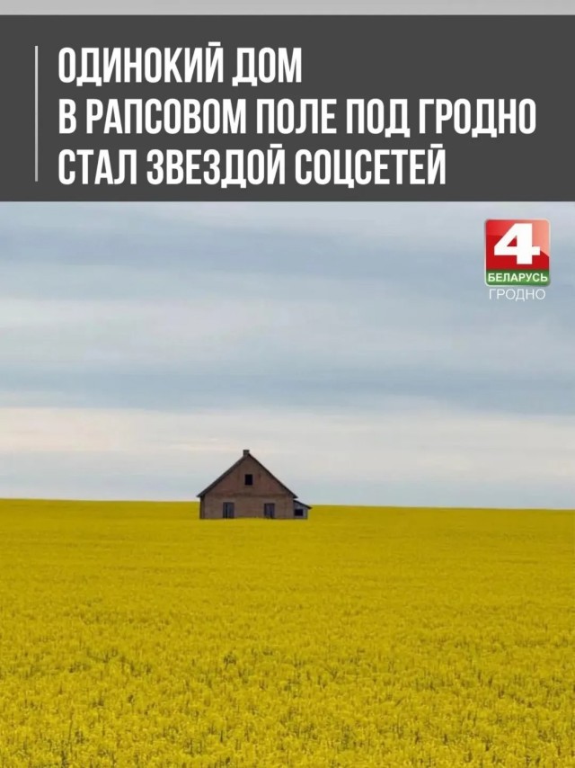 Одинокий дом в рапсовом поле под Гродно