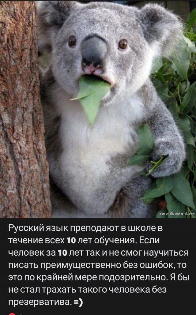 Папа решает, а Вася сдаёт