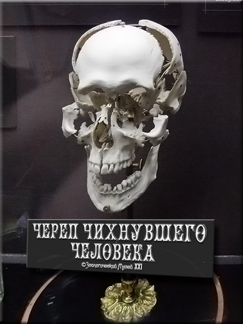 Чихайте аккуратнее