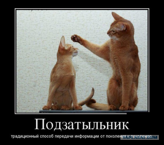 Подборка прикольных фото на начало мая