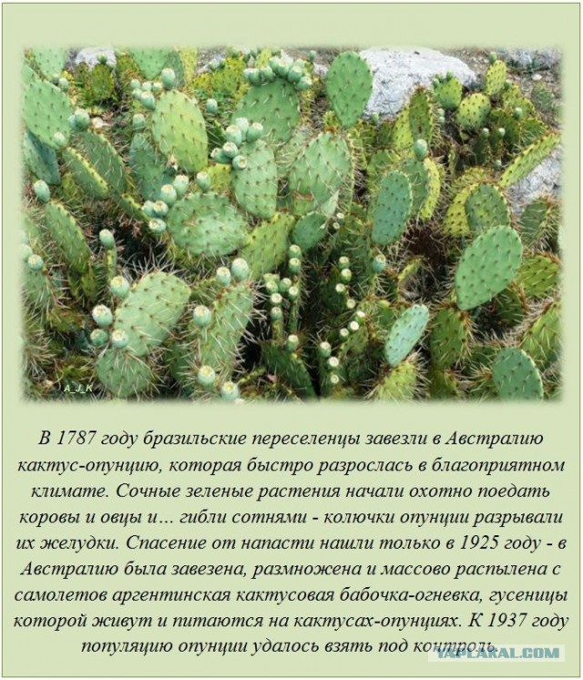 20 фактов обо всем