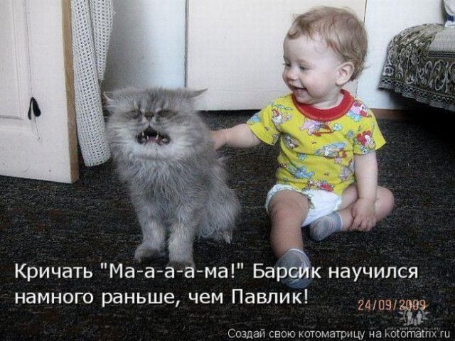 Коты, из которых получились прекрасные няни
