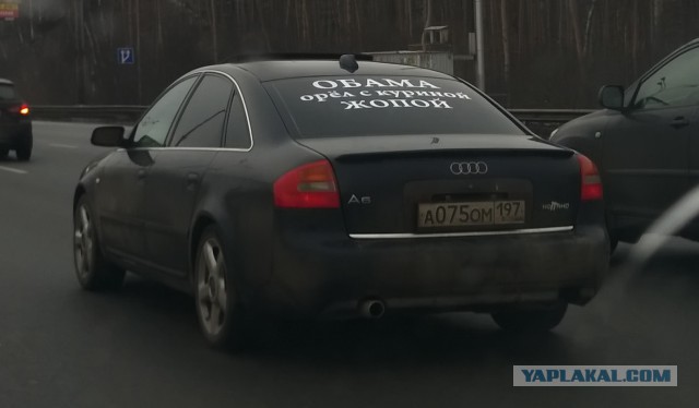 Когда уже совсем довели