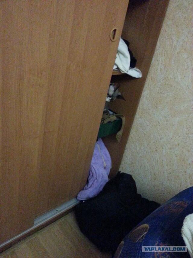 "Это не то, что ты подумал!"
