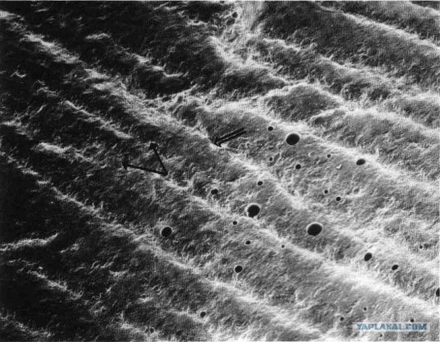 В Египте открыли некрополь Серапеум