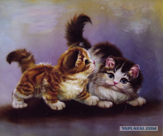 Забавные рисованные кошки