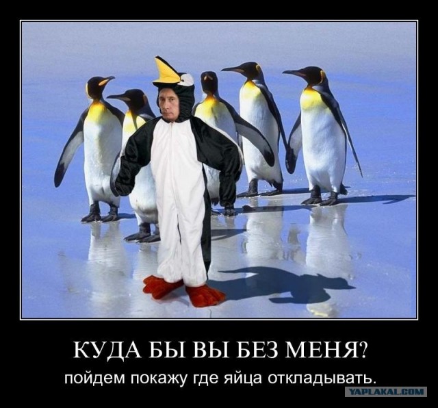 Путин с клювом в халате возглавил журавлиный клин