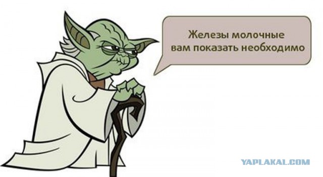 Подарили так подарили