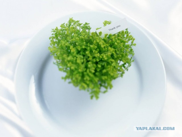 Подборка красивых картинок