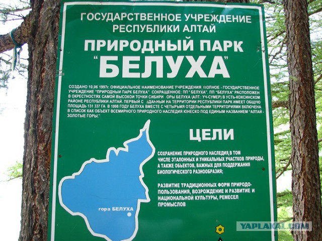 Трекинг по горам Алтая - к подножию Белухи