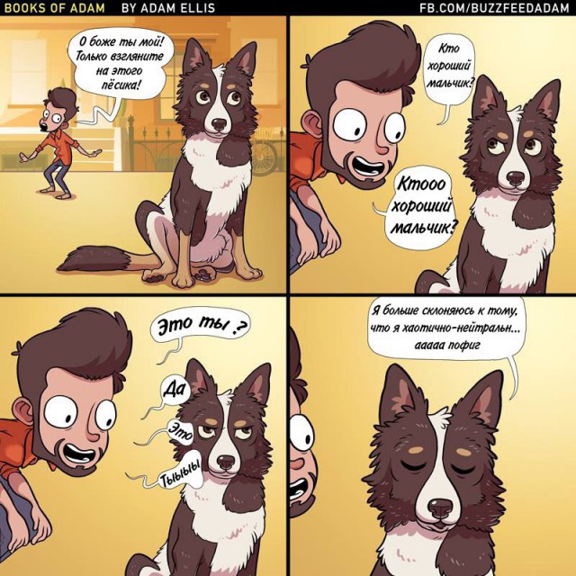 Картинки и приколы из сети