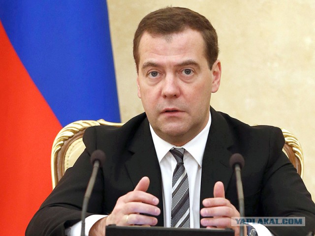 Дружное ржание над Димоном