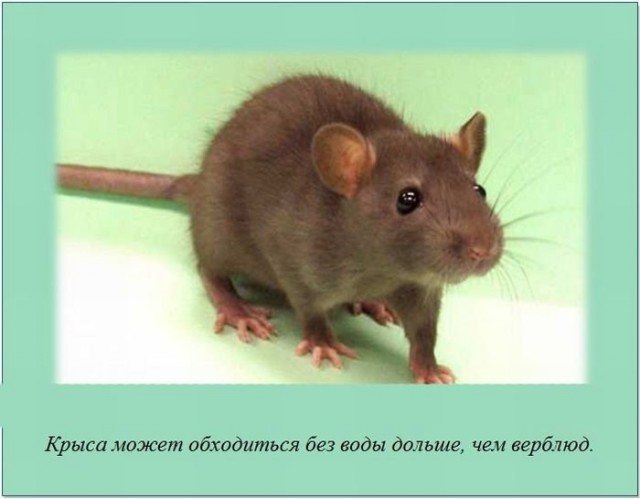 Неприятные факты, о которых вы не знали