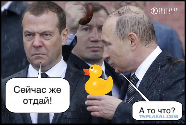 Под дождём