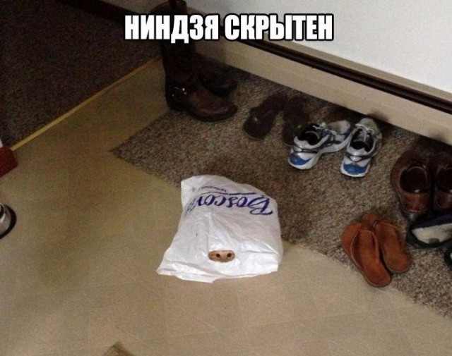 Подборка интересных и веселых картинок