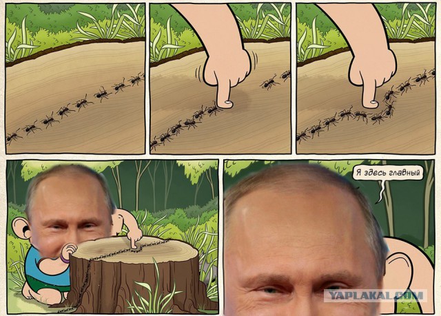 Путин подписал закон о запрете анонимайзеров
