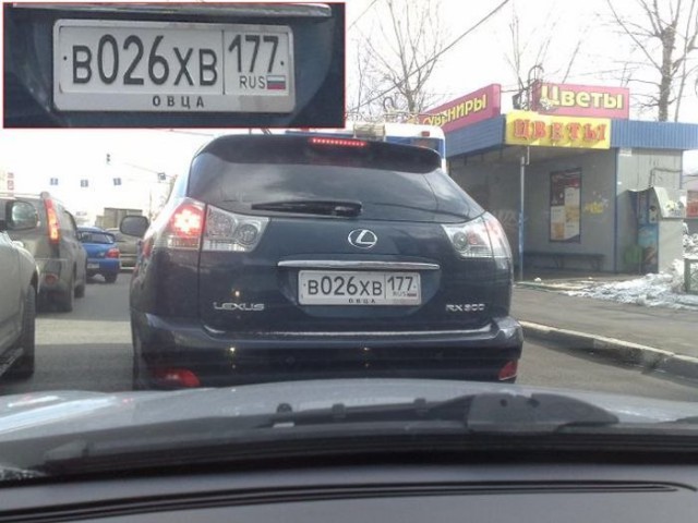 Забавных картинок не хотите ли?