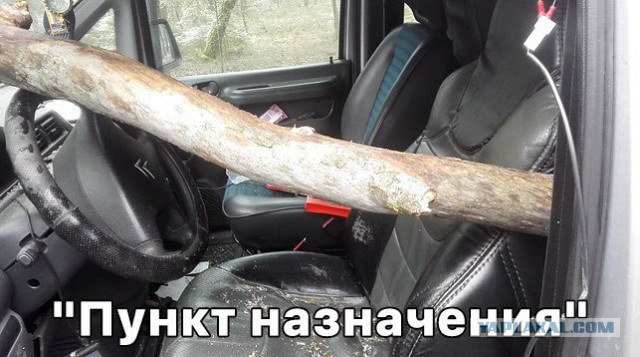 Ушёл от смерти
