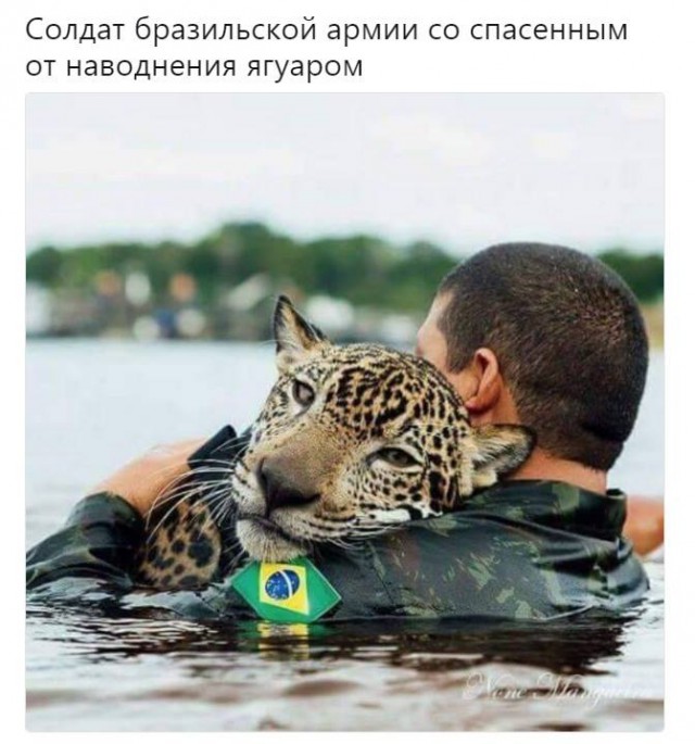 Интересные и редкие ретро-фотографии